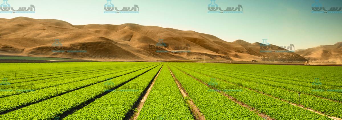 اسید سولفوریک کشاورزی | مراحل تولید و عرضه آن در سراسر کشور