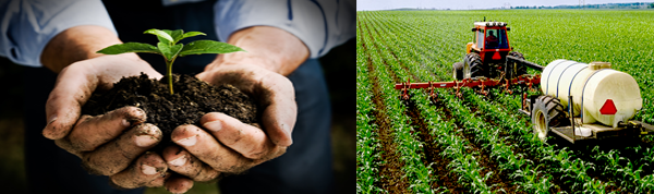 اثر اسید سولفوریک بر ph خاک در کشاورزی